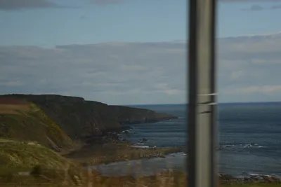 DSC_7267 (Large).JPG